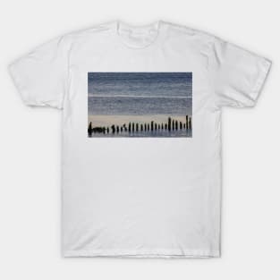 Wooden stumps in the River Clyde, Scotland T-Shirt